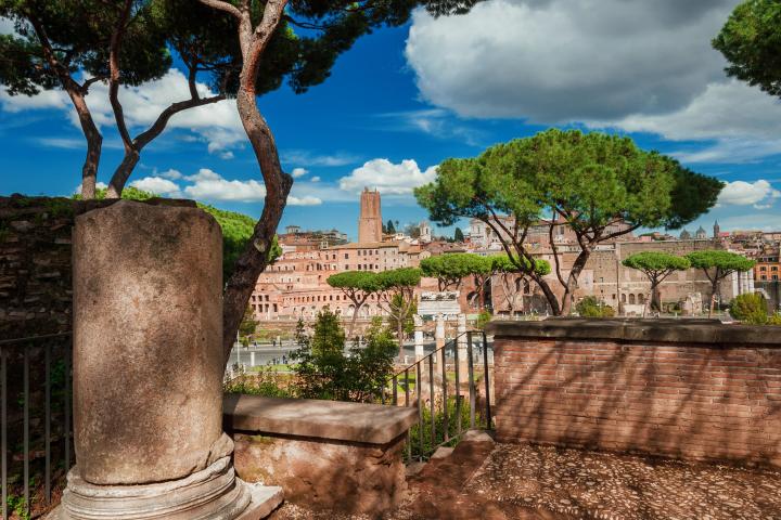 a bench next to a tree