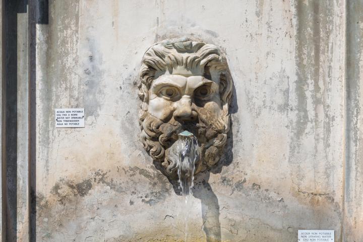 a bird standing on the side of a building