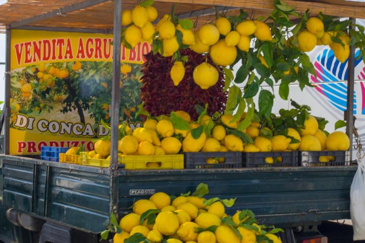 a store filled with lots of fruit
