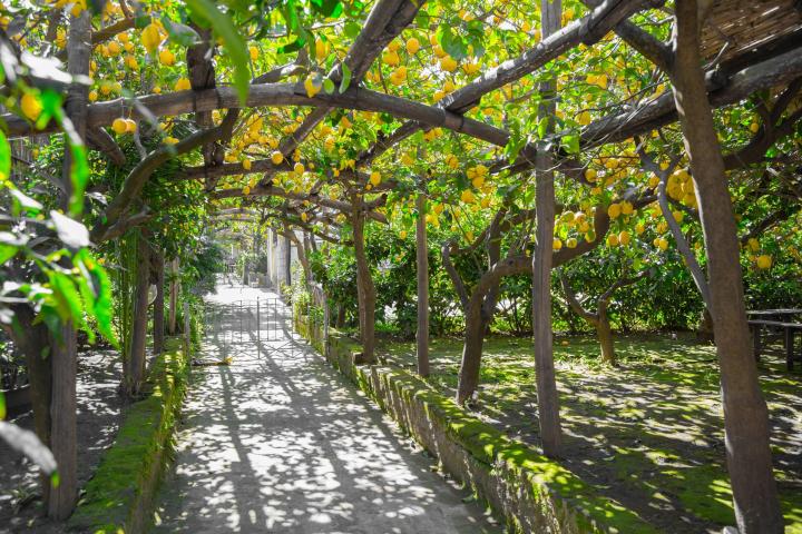 a bench next to a tree