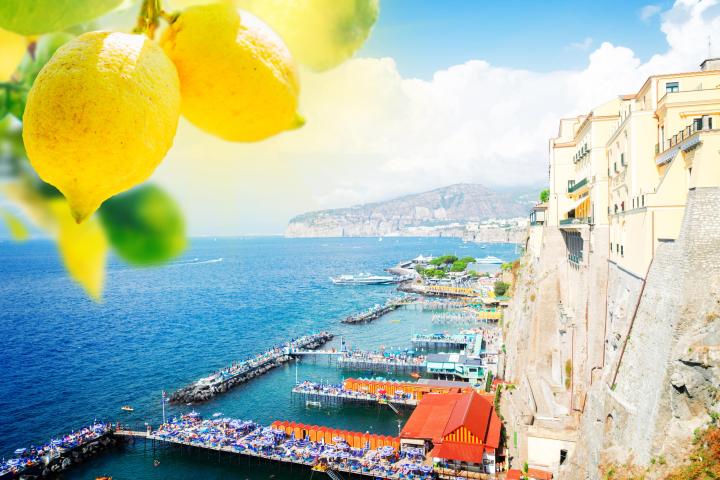 a group of orange flowers