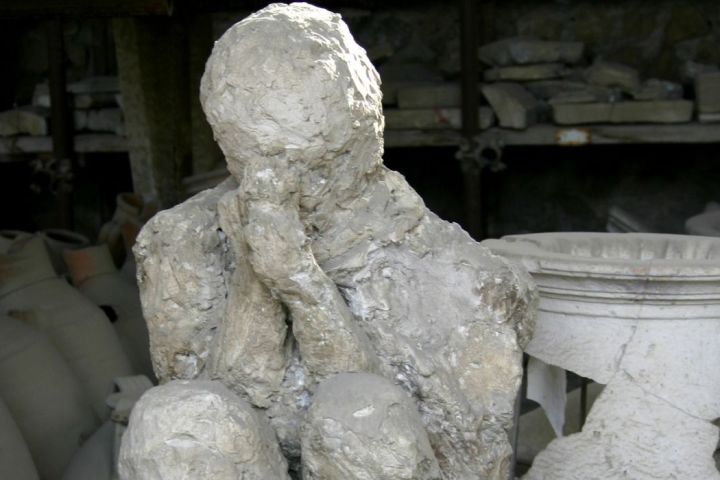 a stuffed animal on display