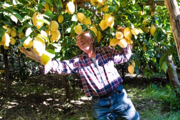 a little girl standing next to a tree