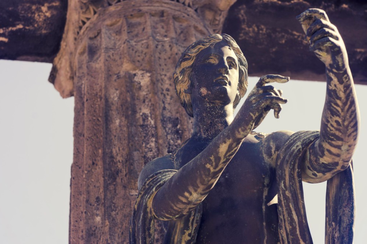 a close up of a reptile