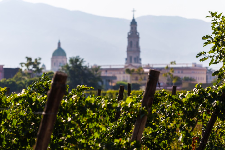 a sign in front of a tall building
