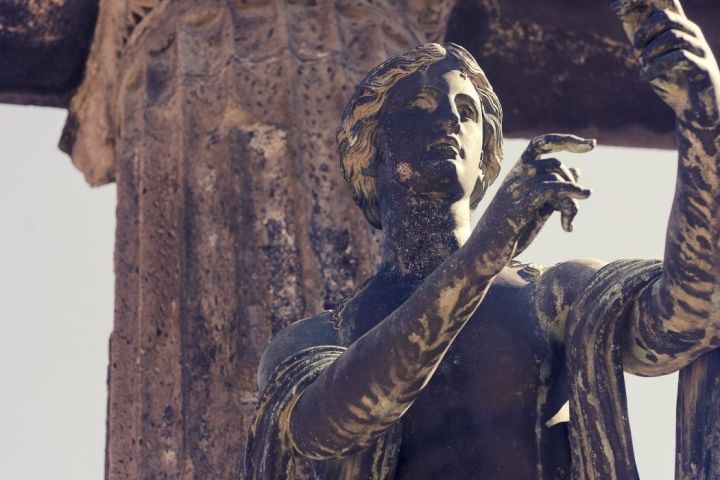 a close up of a giraffe